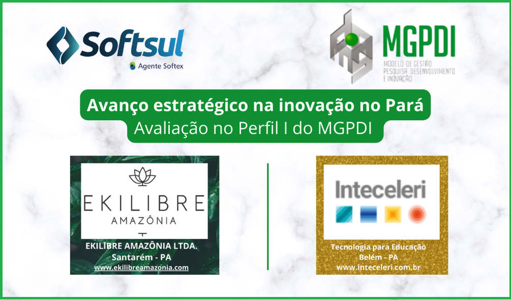 Avaliação no Perfil I do MGPDI na EKILIBRE e INTECELERI marca avanço estratégico na inovação no Pará